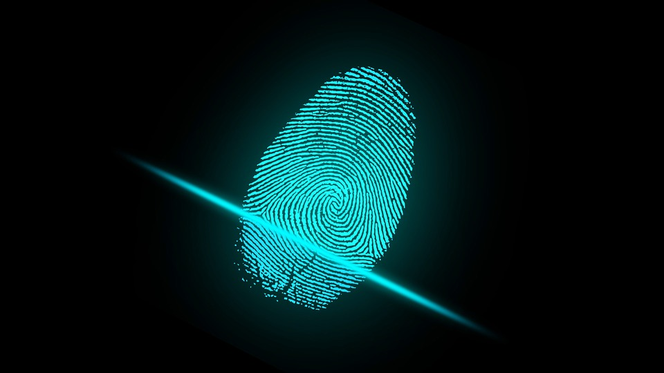 illustration of a fingerprint